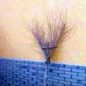 Meet your Posher, Chad